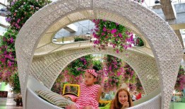 天上花园在线观看,揭秘“天上花园”在线观看之旅